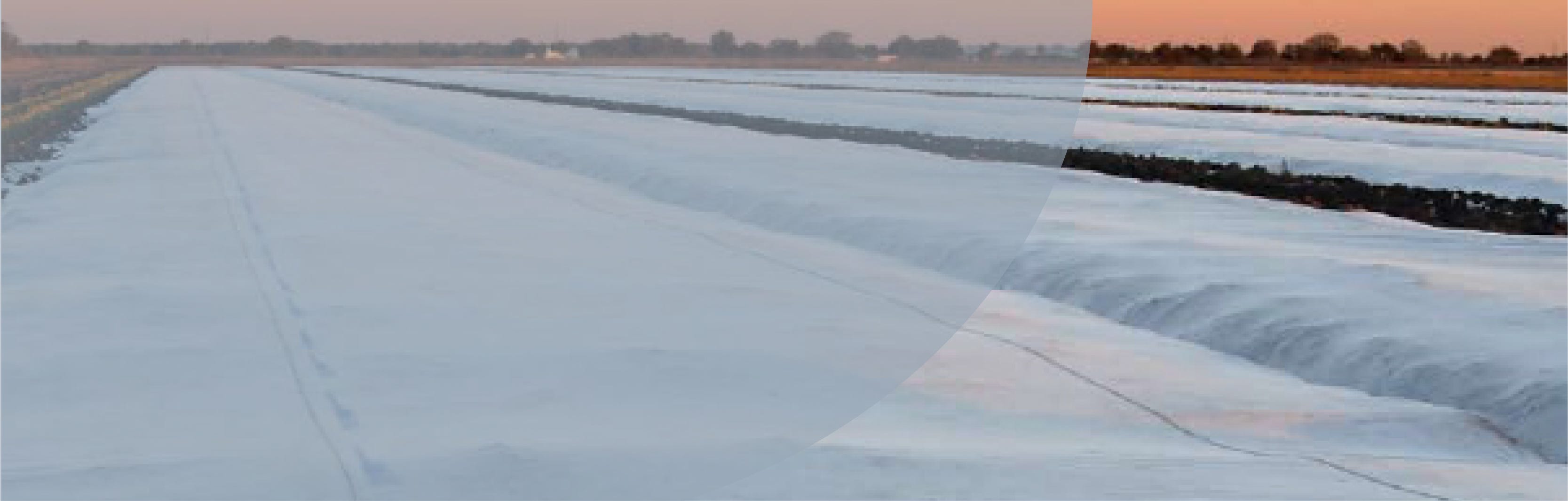Recoltech floating crop cover