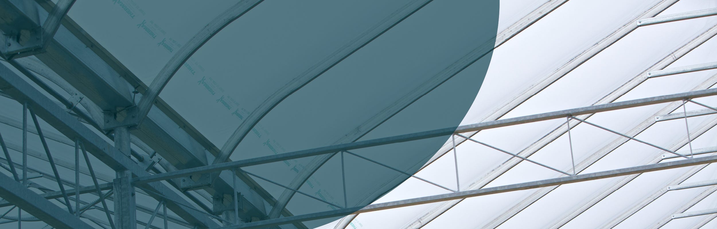 Greenhouse film