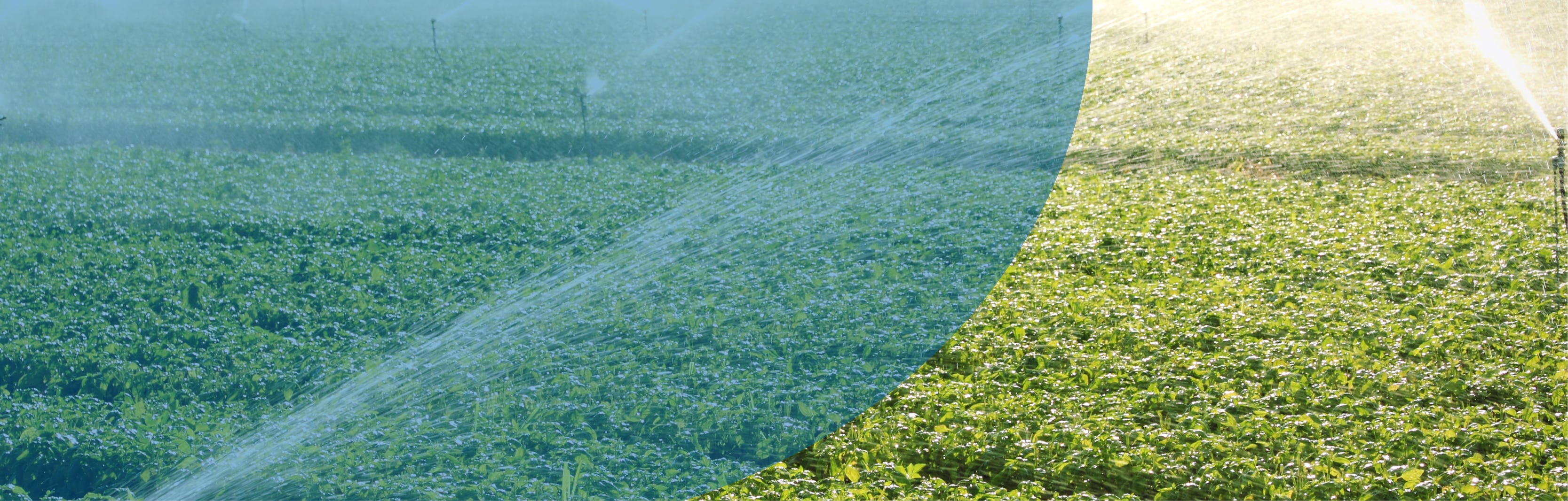 Recoltech système d'irrigation