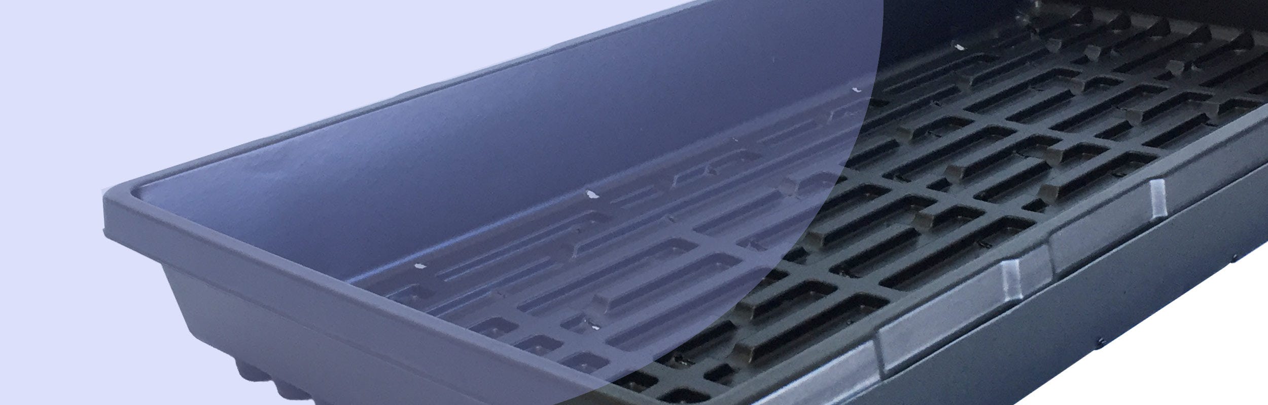 Tray