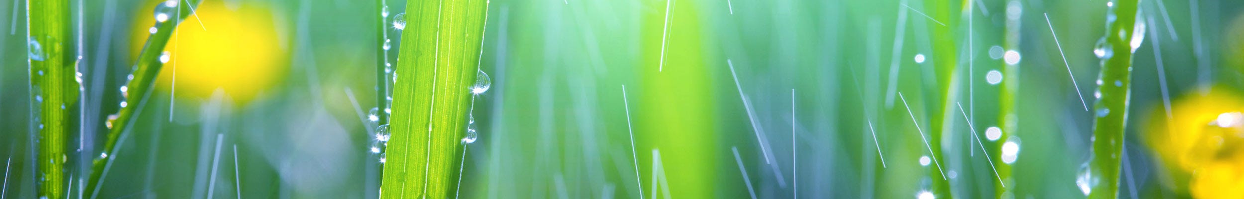 Irrigation and spraying