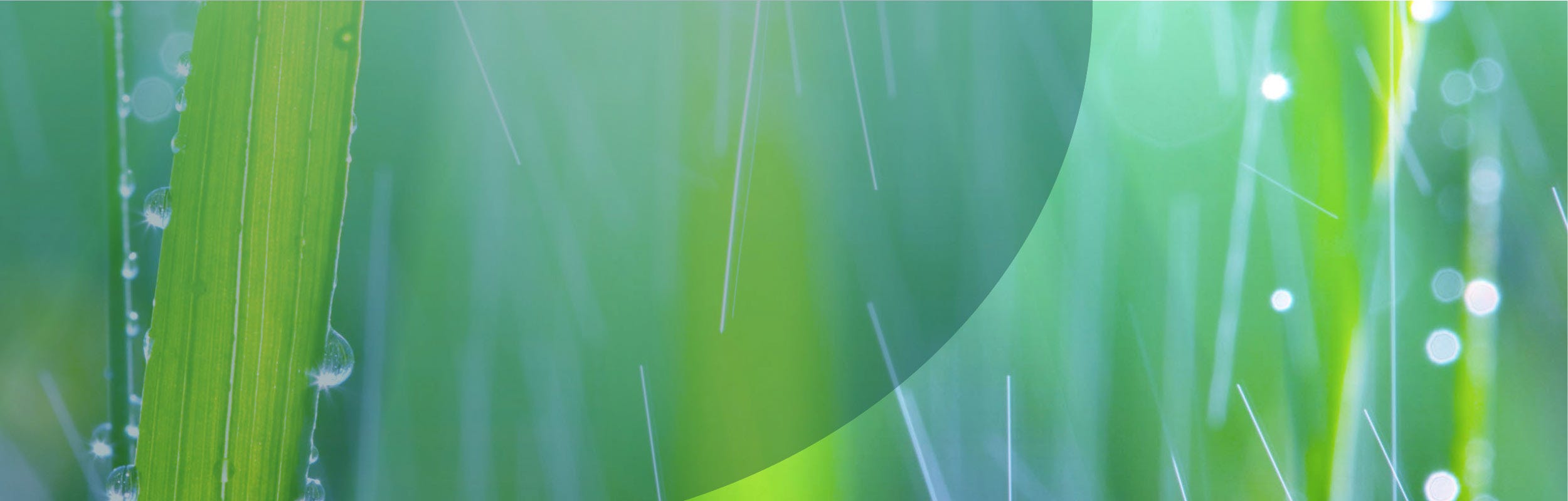 Irrigation et spraying