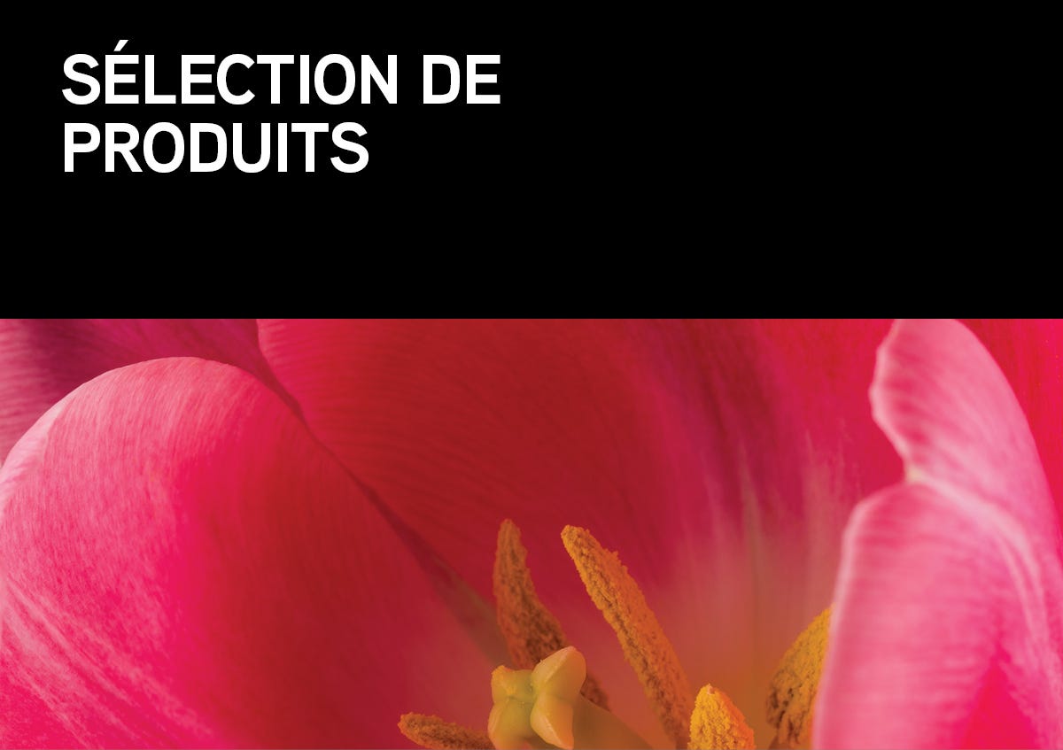 Catalogues TERIS